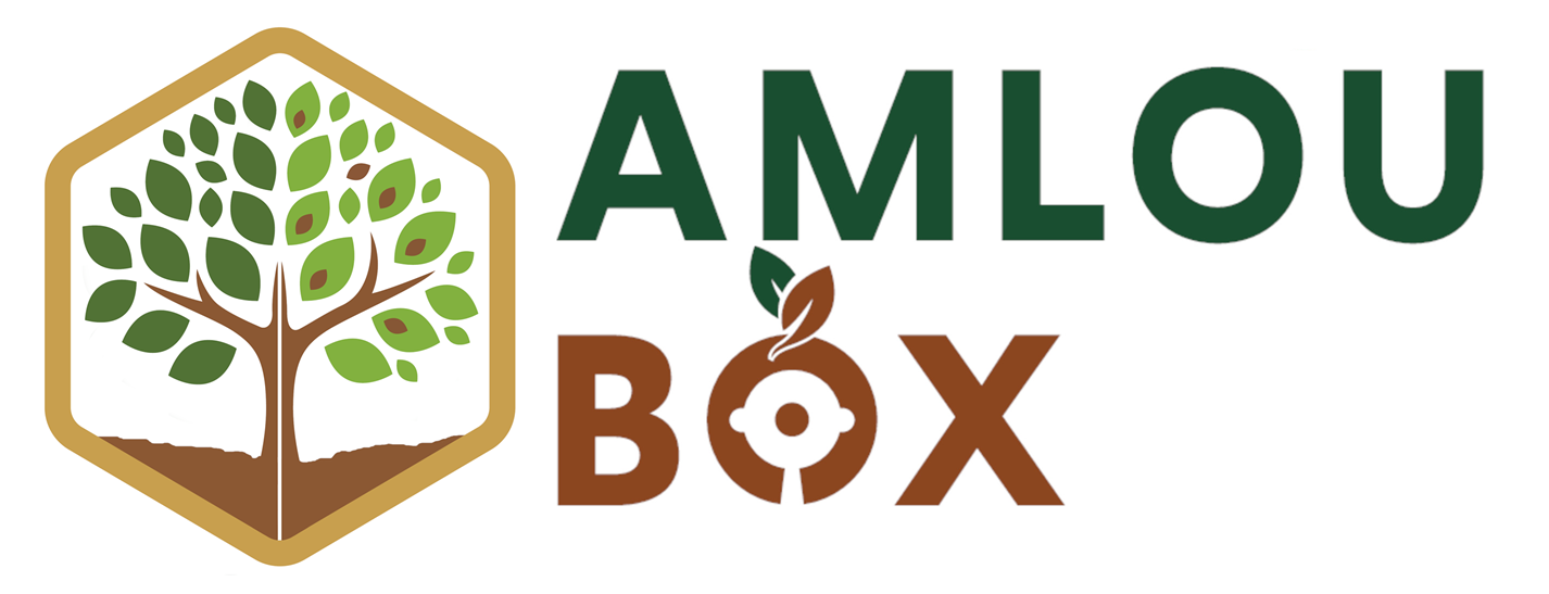 AmlouBox